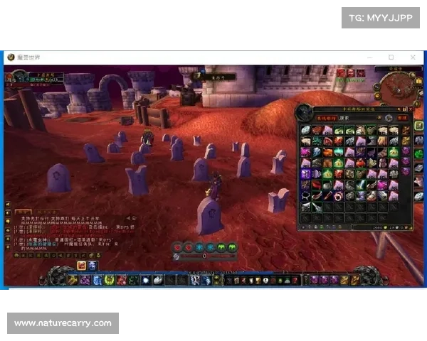 魔兽世界怀旧服：突显伤害数字的全新体验