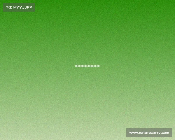 通力电竞俱乐部：荣耀征程，竞逐巅峰